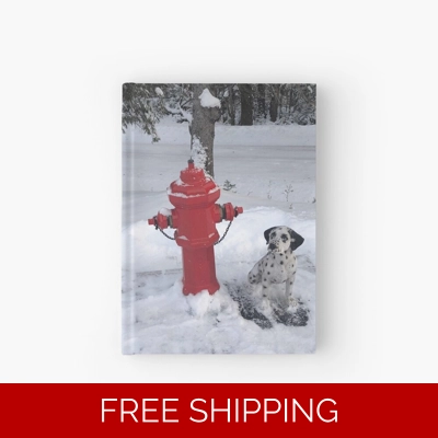 Le Studio Hardcover Journal Rush Signals Statue Winter 2019